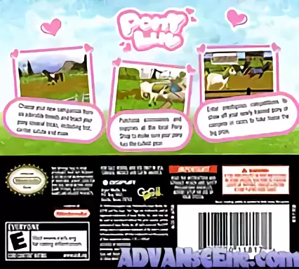 Image n° 2 - boxback : Pony Luv